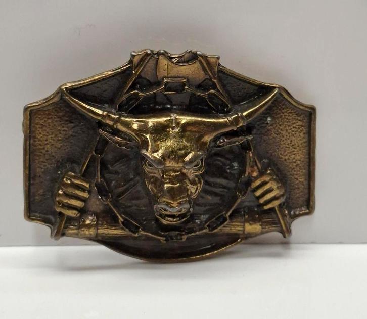 Vintage Longhorn Rodeo Stier Western Gesp, Sieraden, Tassen en Uiterlijk, Overige Accessoires, Gebruikt, Ophalen of Verzenden