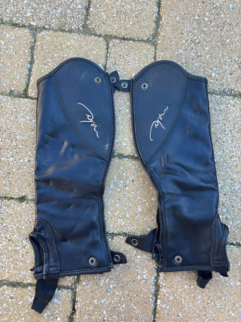 Chaps Dyon kids, Dieren en Toebehoren, Ophalen of Verzenden, Gebruikt, Overige soorten