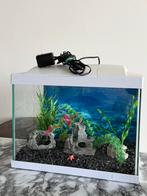 Complete vissenkom 35x22cm, Ophalen of Verzenden, Zo goed als nieuw, Overige typen