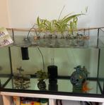 Mooi krasvrij aquarium, Ophalen