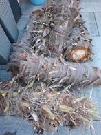 Gratis boomstammen, Ophalen