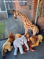 6 grote dieren, Ophalen, Zo goed als nieuw, Overige typen