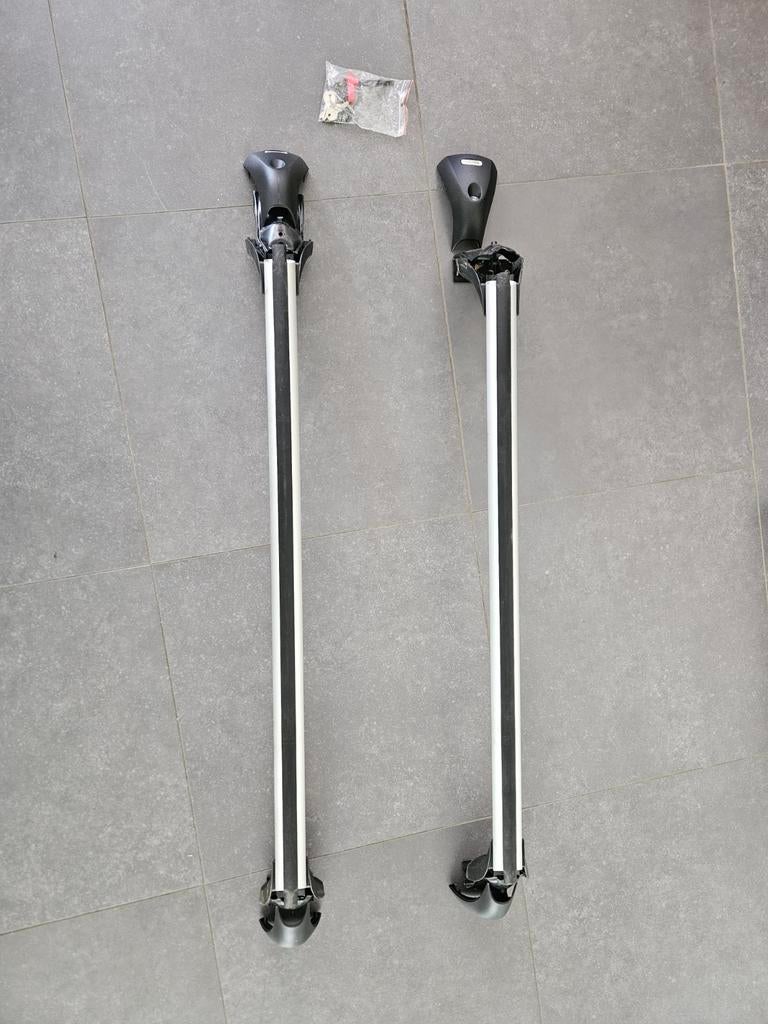 Dakdragers voor Fiat 500L Panoramadak, Auto diversen, Dakdragers, Ophalen