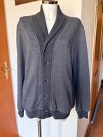 Westburry herenvest maat L - Grijs vest met knopen, Ophalen of Verzenden, Gedragen, Maat 52/54 (L), Grijs