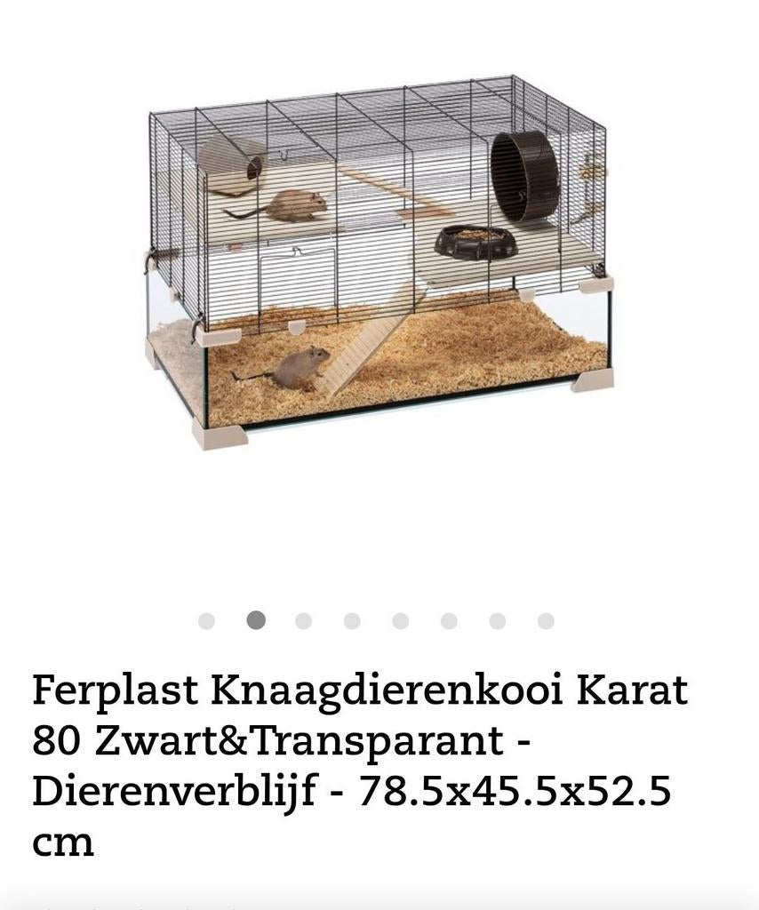 Hamsterkooi met glazen bak Ferplast, Kooi, Gebruikt, Minder dan 75 cm, Ophalen