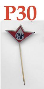 P30 speldje pam zilverkleur, Verzamelen, Ophalen of Verzenden, Gebruikt, Overige onderwerpen