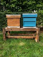 buckfast bijen gevraagd, Bijen