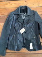 Nieuwe Dames Leren Jas - Zacht . merk Milestone maat S, Ophalen of Verzenden, Nieuw, Maat 36 (S), Bruin