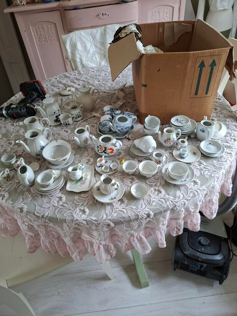 Heel veel kinder /poppenhuis servies, Ophalen