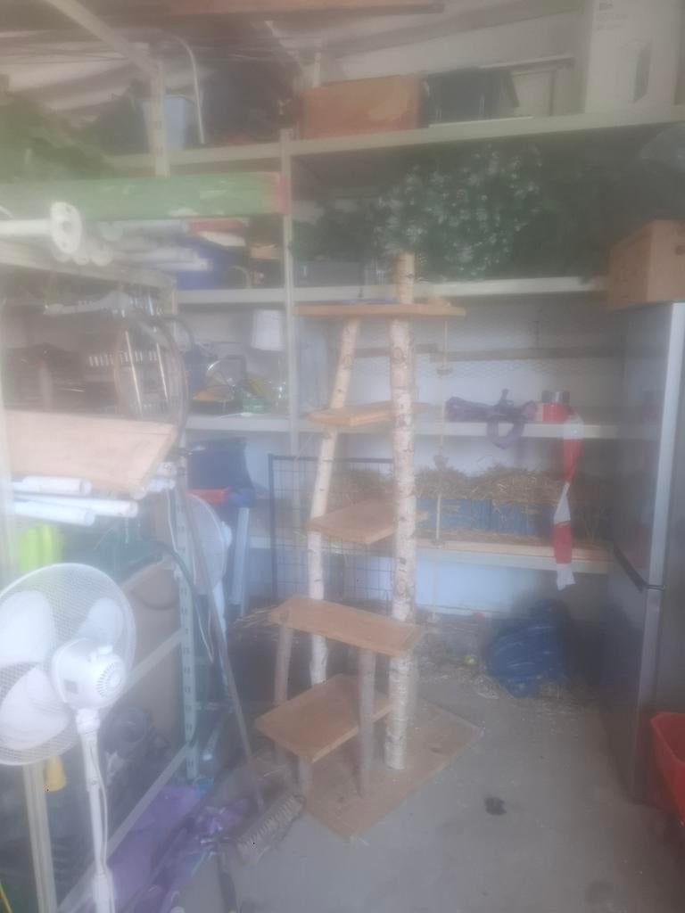 Krappaal, Ophalen of Verzenden, Gebruikt, Hout, Vogelkooi