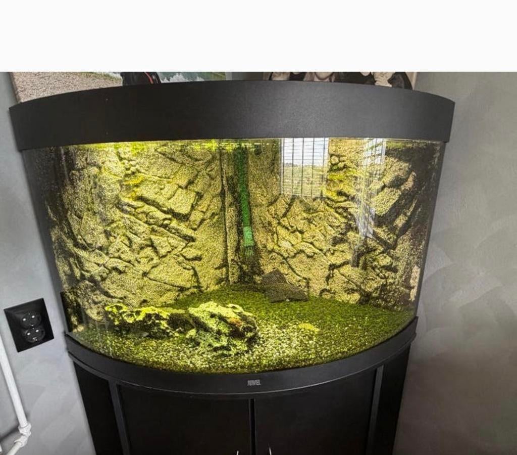 MOOI JUWEL hoekaquarium LED 350L rond 90br met meubel TRIGON, Ophalen, Inclusief toebehoren, Juwel, Gevuld zoetwateraquarium