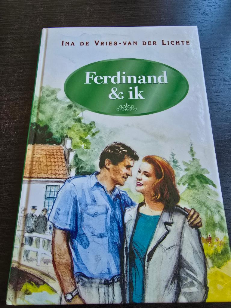 Boek roman, Ophalen of Verzenden, Zo goed als nieuw