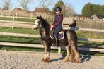 Tinker pony – speciaal kleurtje 🌟, Dieren en Toebehoren, Pony's, Ruin, Zadelmak, 3 tot 6 jaar, C pony (1.27m tot 1.37m)