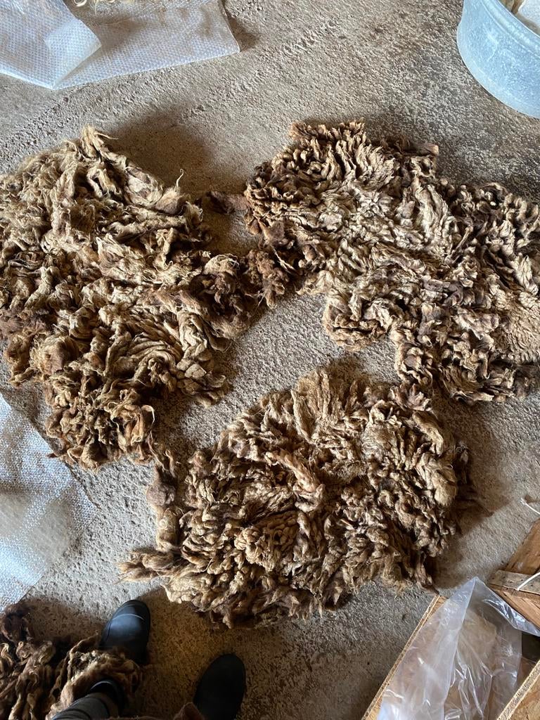 3x ouessant vacht schapenwol schapenvacht, Ophalen of Verzenden, Zo goed als nieuw, Spinwol