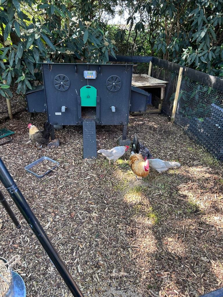 Kippenhok, Ophalen, Gebruikt, Kippenhok of Kippenren