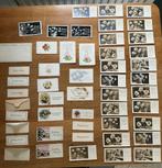 vintage felicitatiekaartjes, Ophalen of Verzenden, Voor 1970