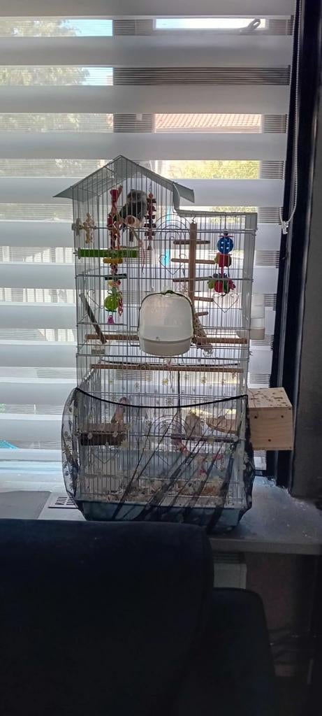 Kooi met ageponissen, Ophalen of Verzenden, Metaal, Vogelkooi