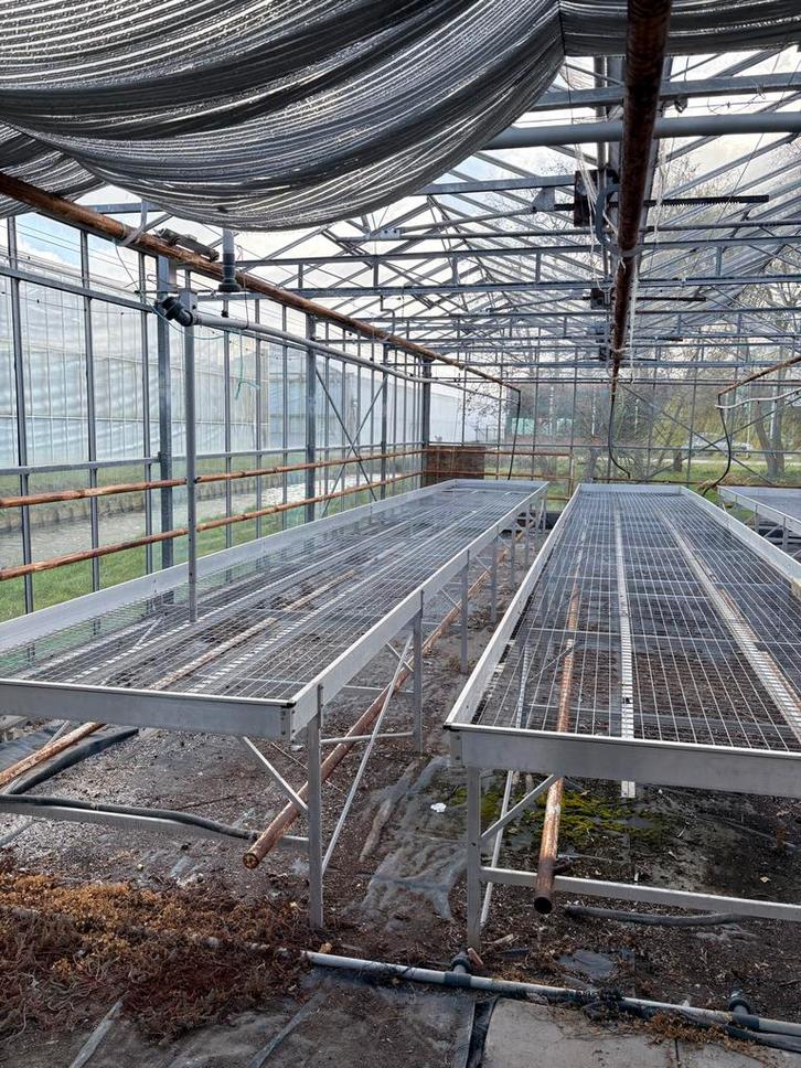 Aluminium kweektafel 1,5 x 11 M, Tuin en Terras, Kweekspullen, Gebruikt, Kweektafel, Ophalen of Verzenden