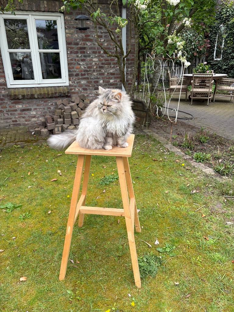 Boetseer bok te koop, Ophalen of Verzenden