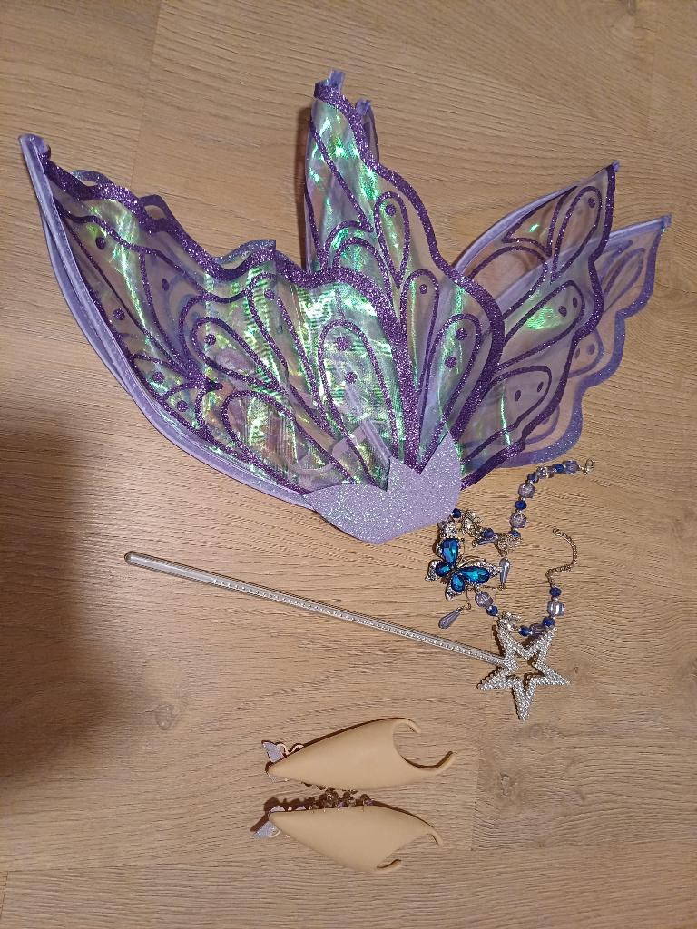 Feeën Kostuum, Kleding | Dames, Carnavalskleding en Feestkleding, Ophalen of Verzenden, Zo goed als nieuw, Carnaval, Accessoires