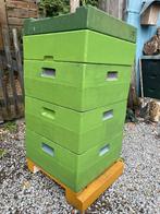 Complete bijenkasten, Dieren en Toebehoren, Bijen