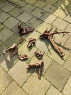 Aquarium, Dieren en Toebehoren, Ophalen of Verzenden