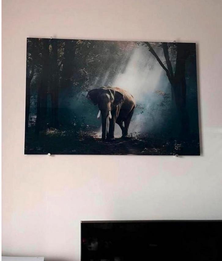 Prachtig olifant schilderij - Mysterieuze bos sfeer, Huis en Inrichting, Woonaccessoires | Schilderijen, Tekeningen en Foto's