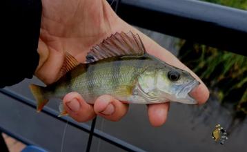 Set M 3 & set M 4 van elk 4 Ultra Light mini spinnertjes. beschikbaar voor biedingen