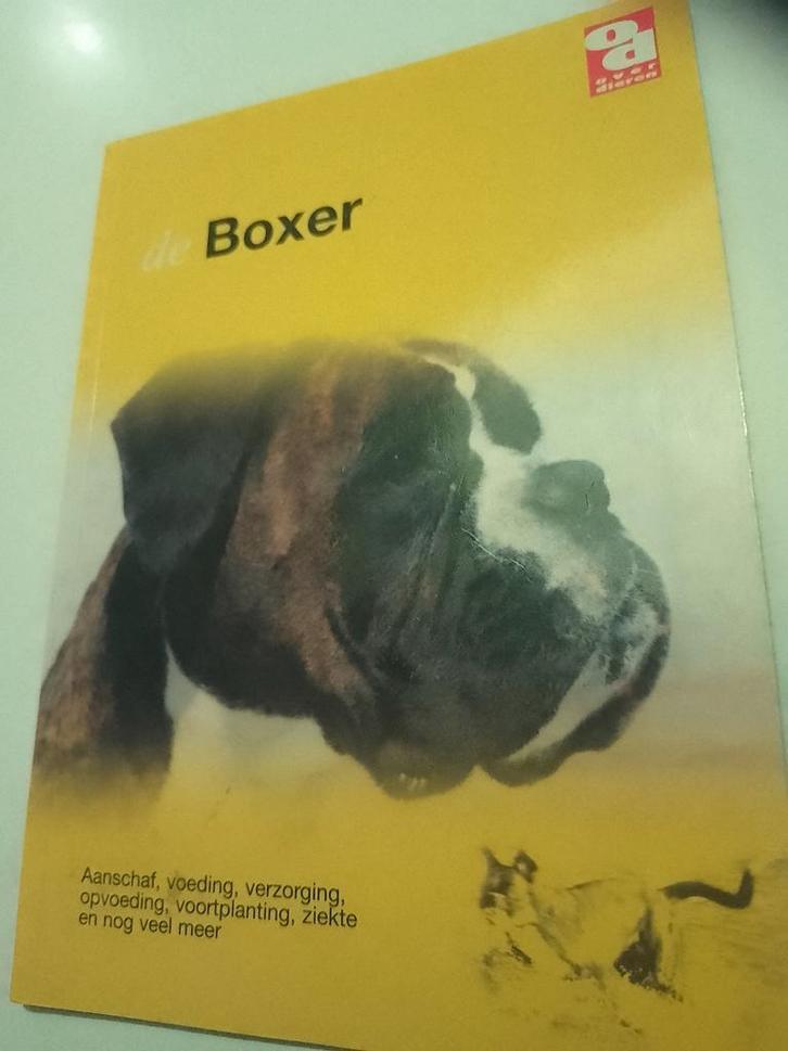 De Maltezer, Boeken, Dieren en Huisdieren, Zo goed als nieuw, Honden, Ophalen of Verzenden