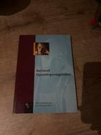 Basisboek Opvoedingsvraagstukken - Hans Maltschaert, Ophalen of Verzenden, Gelezen, Meerdere auteurs