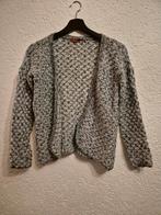 Grijze Gebreide Cardigan, Grijs, Ophalen, Maat 38/40 (M), Gedragen