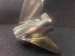 Quicksilver Laser II RVS Propeller 13.75 x 23, Ophalen of Verzenden, Zo goed als nieuw, Motor en Techniek, Motorboot