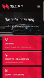Chiptuning Stage 1+ (2), €200,- DSG, OPF, Downpipe, uitlaten, Tickets en Kaartjes, Eén persoon