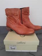 Cellini laarzen, Kleding | Dames, Overige kleuren, Ophalen of Verzenden, Gedragen, Lage of Enkellaarzen