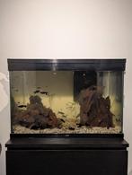 Aquarium met toebehoren, Dieren en Toebehoren, Ophalen, Zo goed als nieuw