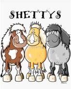 Stalling shetlander gezocht, Dieren en Toebehoren, Stalling