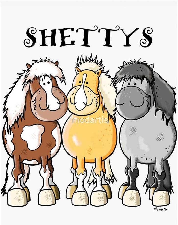 Stalling shetlander gezocht, Dieren en Toebehoren, Stalling en Weidegang, Stalling