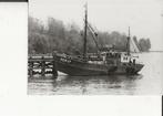 Scheveningen Sch 17 met kontzeiltje Foto, Verzamelen, Ophalen of Verzenden, Ongelopen, Zuid-Holland