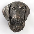 Te koop Teckel ruwhaar  hoofd wandbeeld castle-brons, Ophalen of Verzenden, Nieuw, Dier
