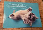 Ik ben helemaal ondersteboven van jou - Katje ligt op rug, Verzamelen, Ansichtkaarten | Dieren, Verzenden, 1980 tot heden, Ongelopen