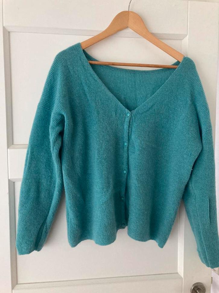 Vest Sézane, Barry, XL, Kleding | Dames, Truien en Vesten, Zo goed als nieuw, Maat 46/48 (XL) of groter, Groen, Ophalen of Verzenden