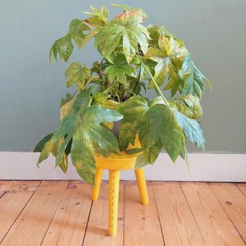 Lucky Vintage geel houten krukje of plantentafeltje  beschikbaar voor biedingen