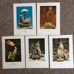 HAL: 5 blanco menukaarten Schelpkunst, Verzamelen, Ophalen of Verzenden, Zo goed als nieuw, Kaart, Foto of Prent