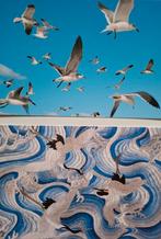 Vogels - 45 kunst- en fotografie-postkaarten. Nieuw!, Ophalen of Verzenden, Nieuw, Overige onderwerpen