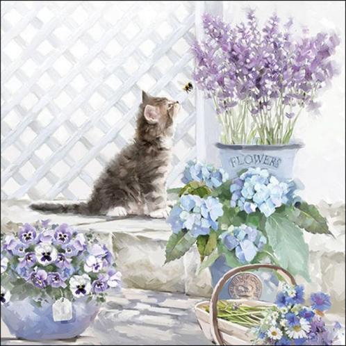 Ambiente servet kitten 33 x 33 cm 13309990, Hobby en Vrije tijd, Knutselen, Nieuw, Materiaal, Ophalen of Verzenden