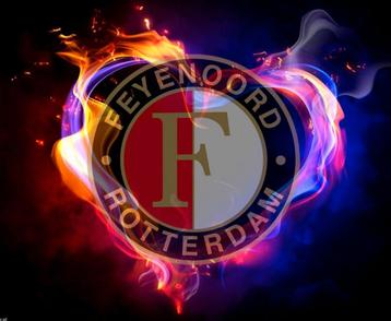 Seizoenskaart Feyenoord overname       gevraagd  beschikbaar voor biedingen