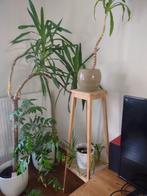 Planten etagère 2x, Huis en Inrichting, Woonaccessoires | Etagères, Ophalen, Zo goed als nieuw