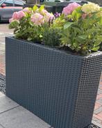 Polyrattan plantenbak 84 cm breed x 60 xm hoog antraciet, Ophalen, Kunststof, Gebruikt, Tuin