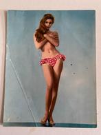 Vintage Foto kaart van Brigitte Bardot, 1960 tot 1980, Gebruikt, Foto, Ophalen of Verzenden