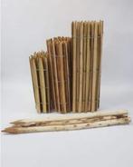 Robinia Palen Ø 8/10 x160 cm € 8,70 p.st